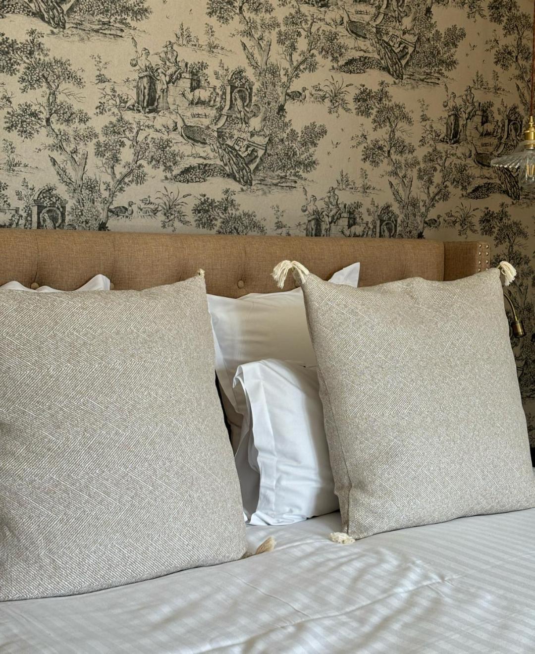 Castel Bois Marie, Maison D'Hotes モントーバン エクステリア 写真 Cushions on a bed